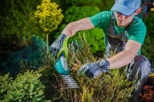 landscaping services Staten Island